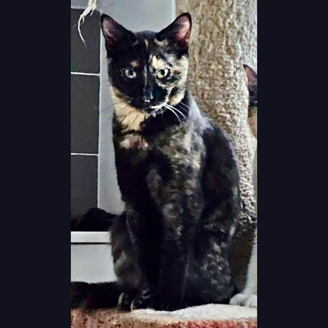 Photo of Gemma