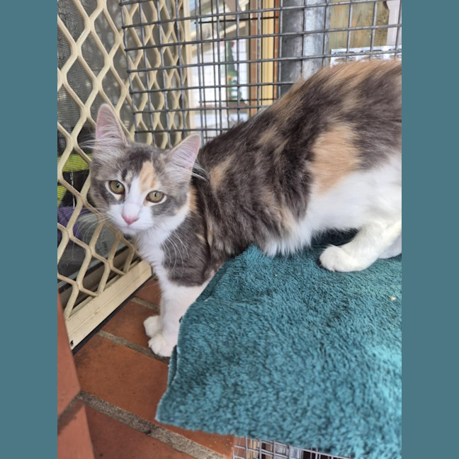 Photo of Ella! ❤️