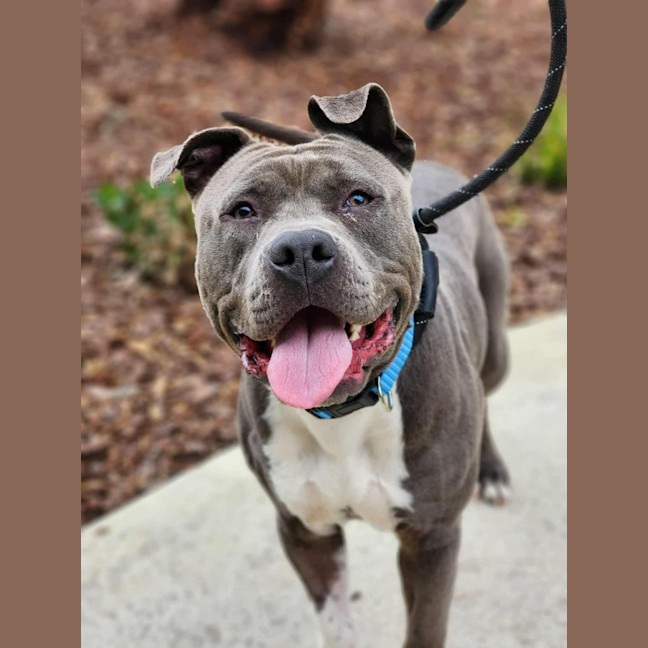 Photo of 🎡 Jaffa 6608 🎡