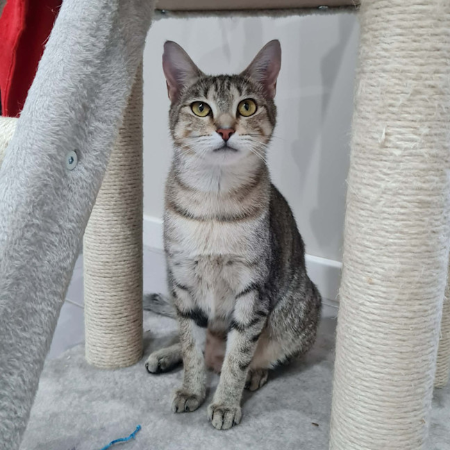 Photo of Nini