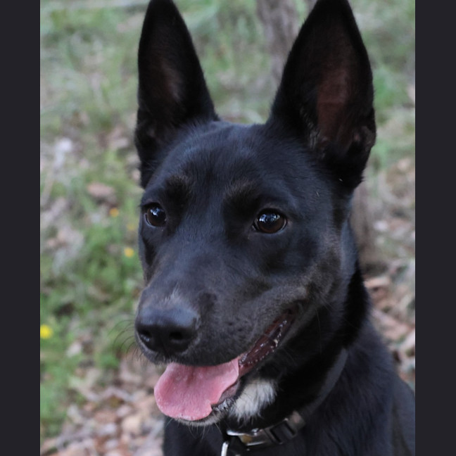 Photo of Sally