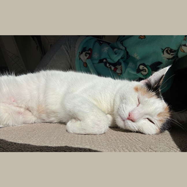 Photo of Fleur
