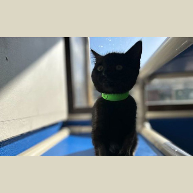 Photo of Kiki
