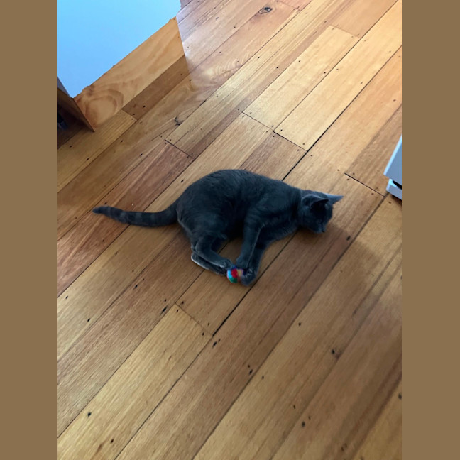 Photo of Gus