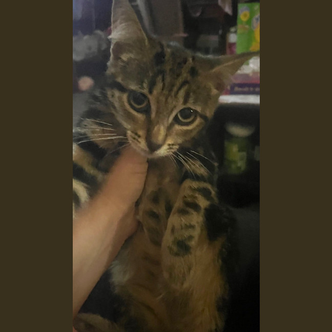 Photo of Ned & Clyde