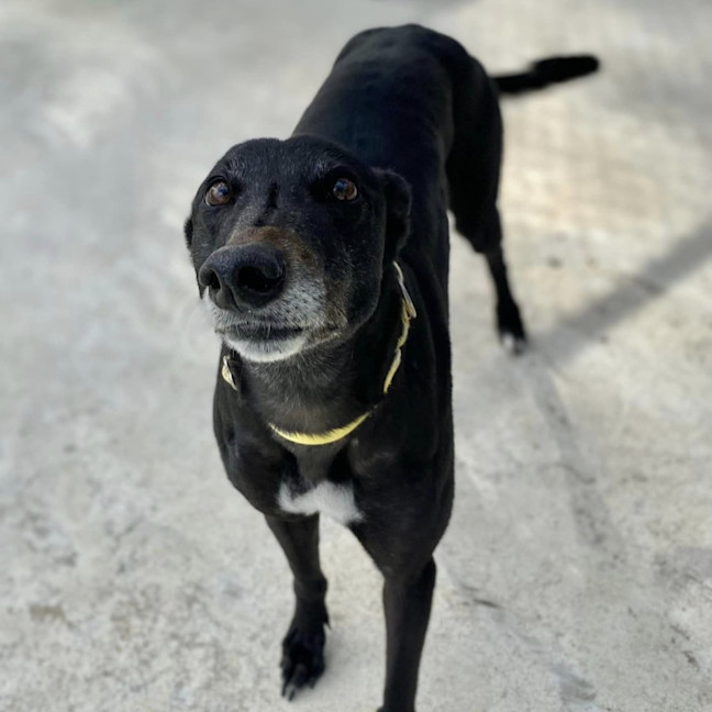 Photo of Ria (Prev. Fragaria)