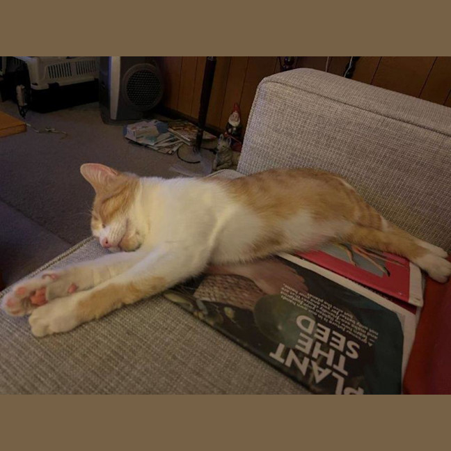 Photo of Olivia O'cleary