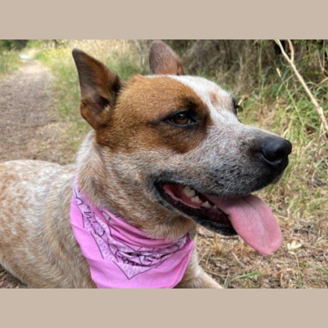 Photo of Nala Jablonksi