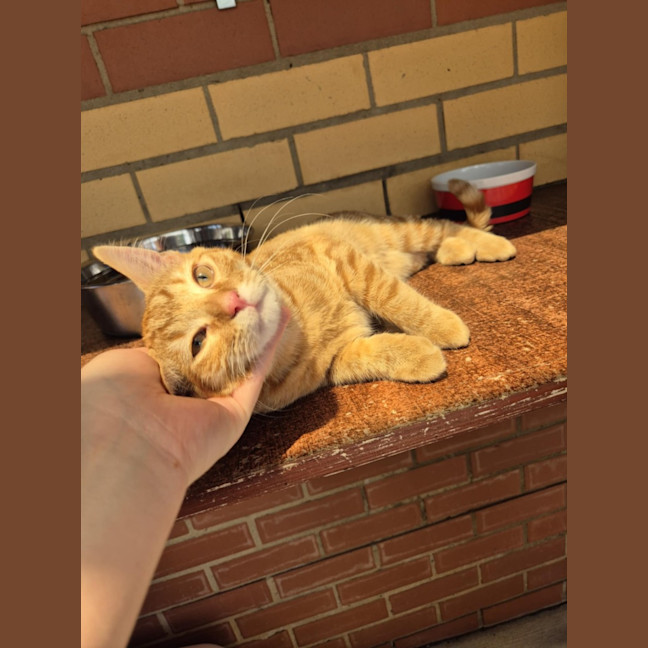 Photo of Monkey! 🦧 