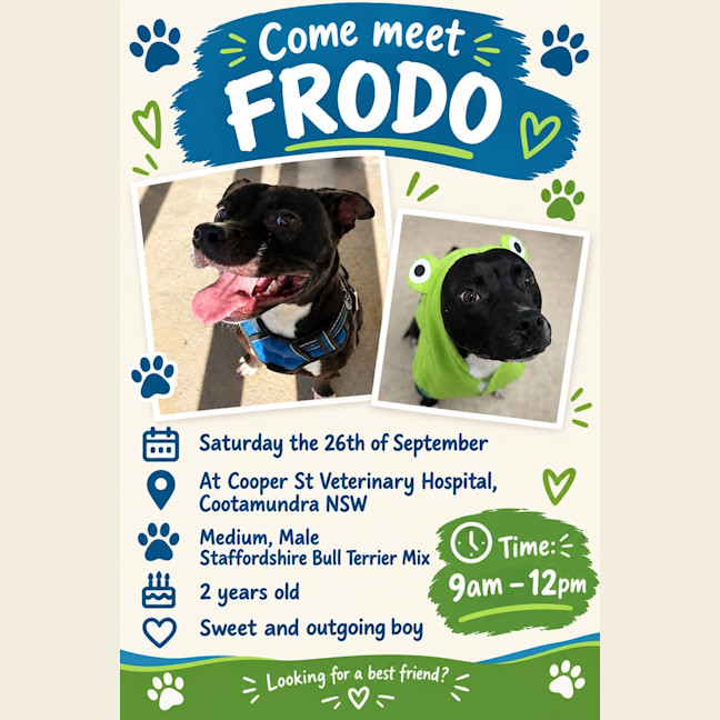 Photo of Frodo