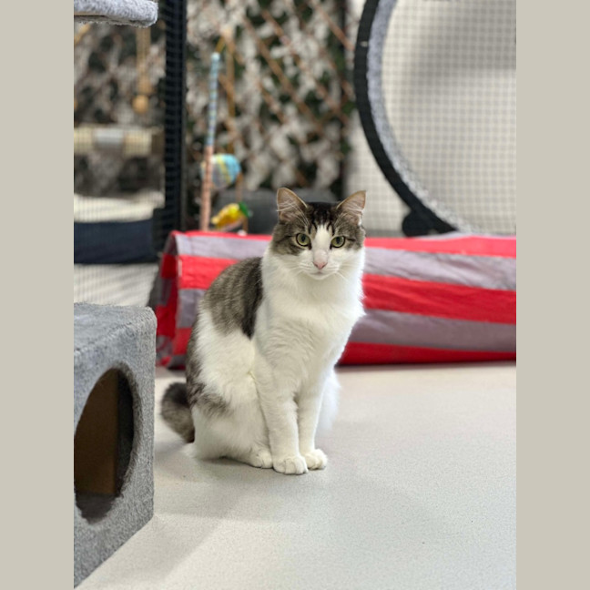 Photo of 🥥 Chester 5640 🥥