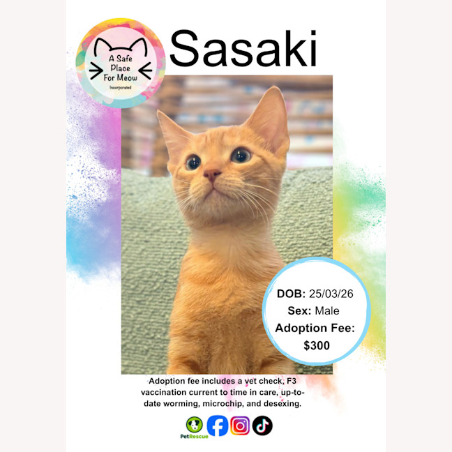 Photo of Sasaki