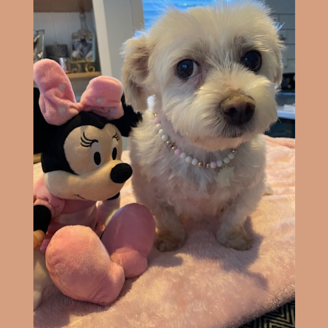 Photo of Mollyrose🌹