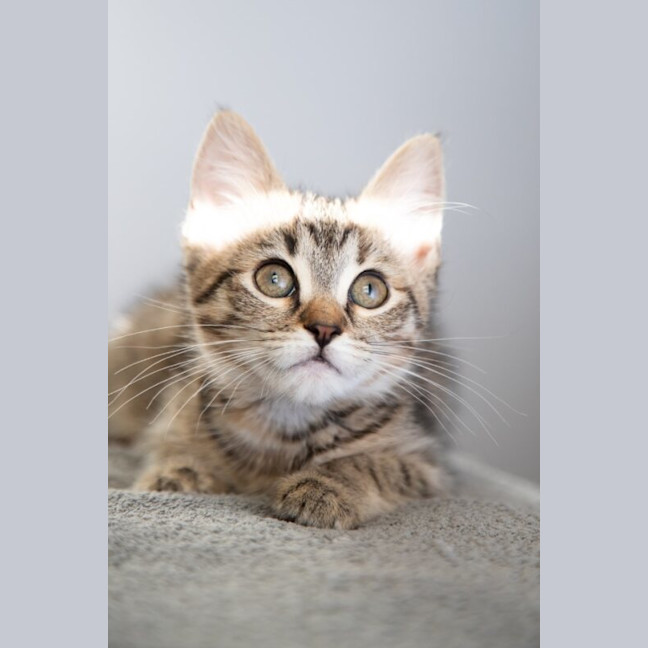 Photo of Ursula