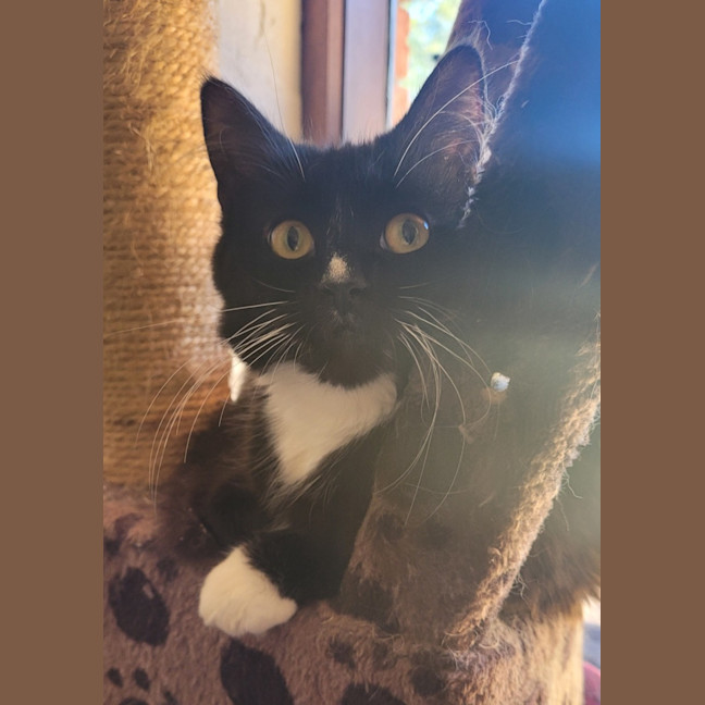 Photo of 💕 Phoebe Buffay 💕