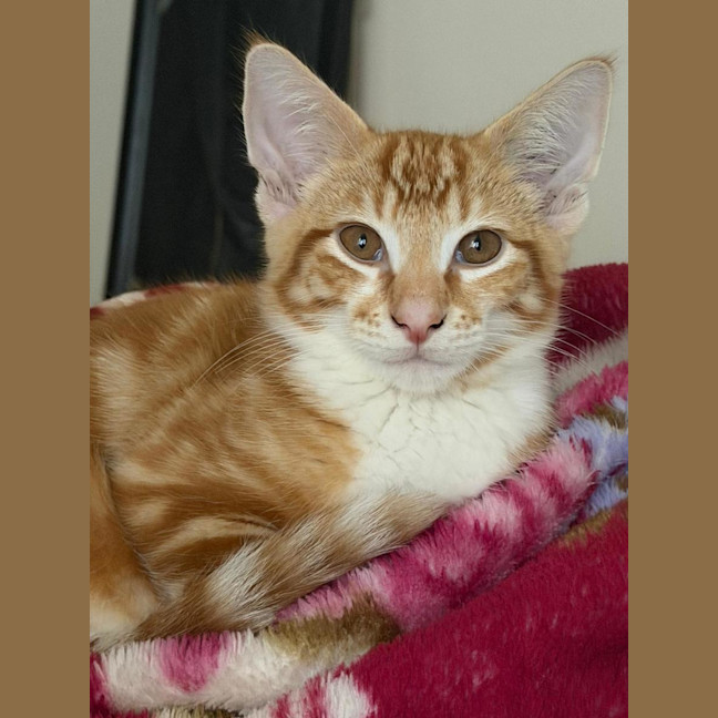 Photo of Bruce