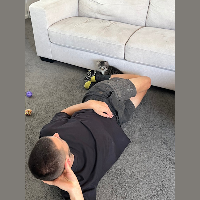 Photo of Gizmo (Was Pesto)