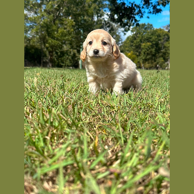 Photo of Milly
