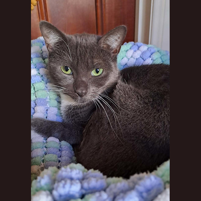 Photo of Bunny