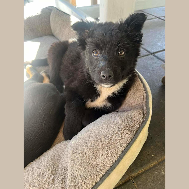 Photo of Storm