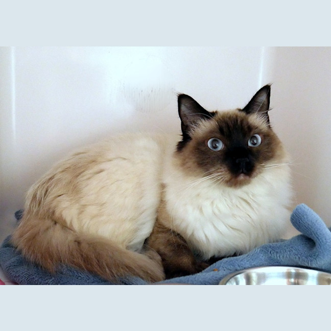 Photo of Annie Sua015683