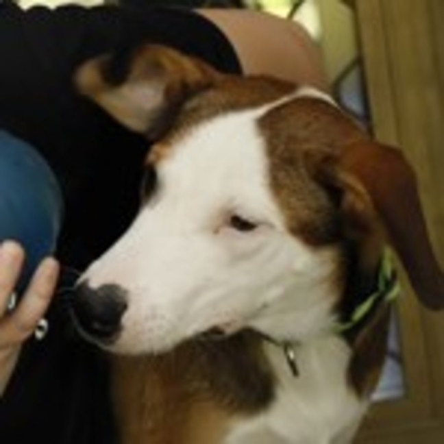 Photo of Turbo