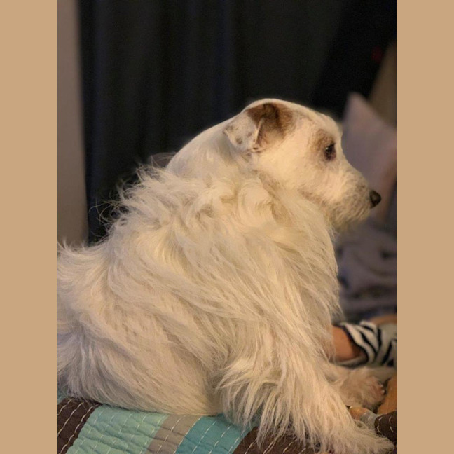 Photo of Russell Russelton