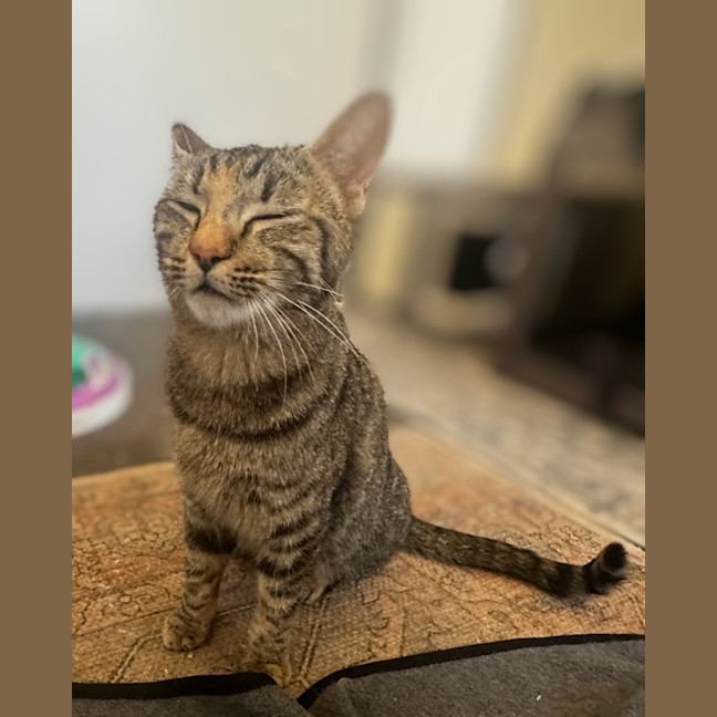 Photo of Freya