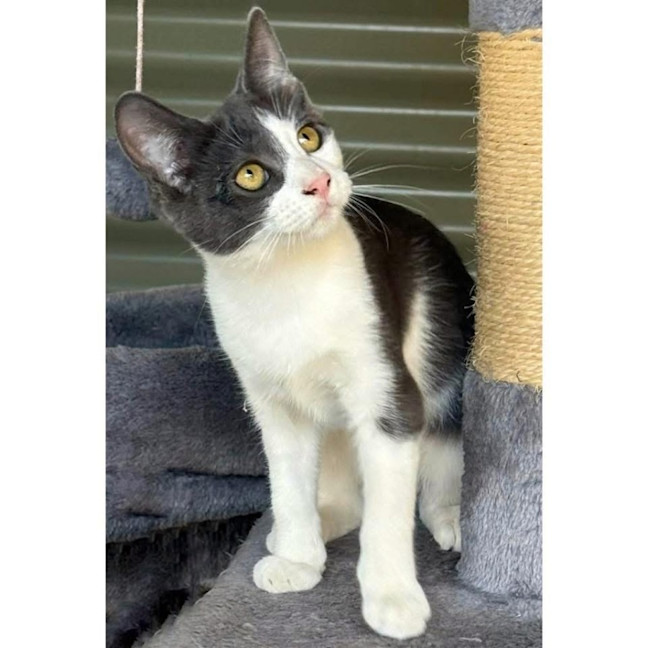 Photo of 13062   Hope