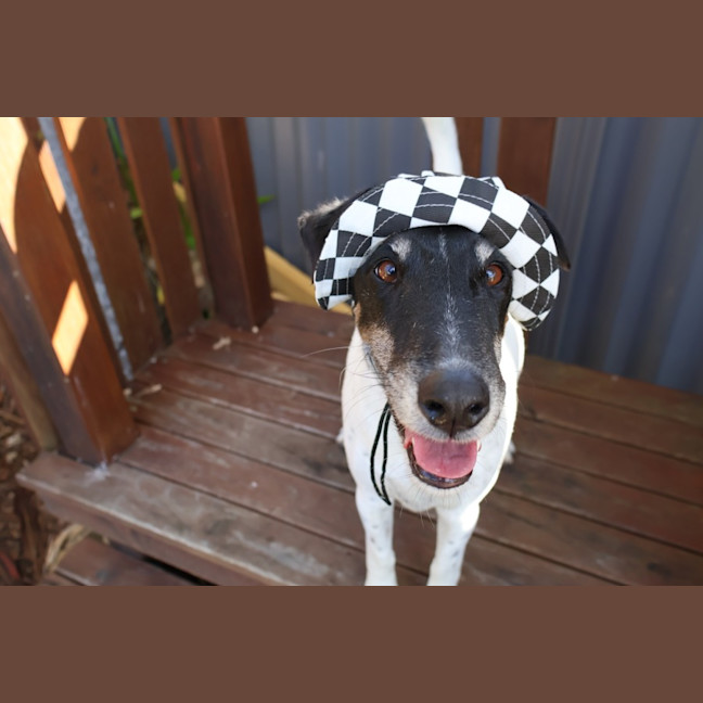 Photo of Reggie