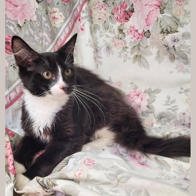 Photo of Jaxson 🖤