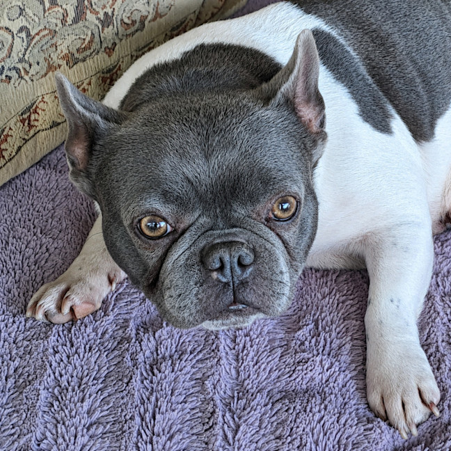 Photo of Storm
