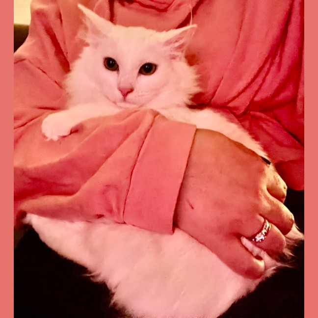 Photo of Portia