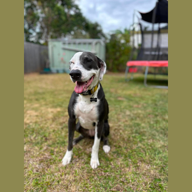 Photo of Luna