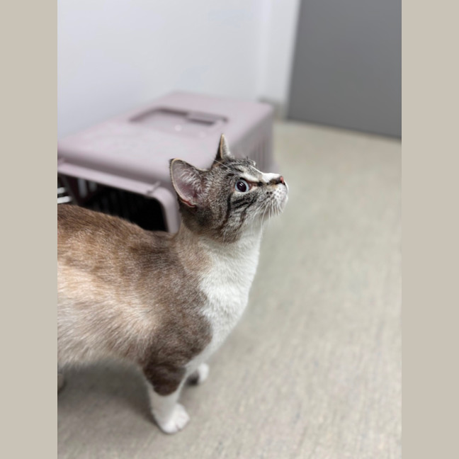 Photo of Missy