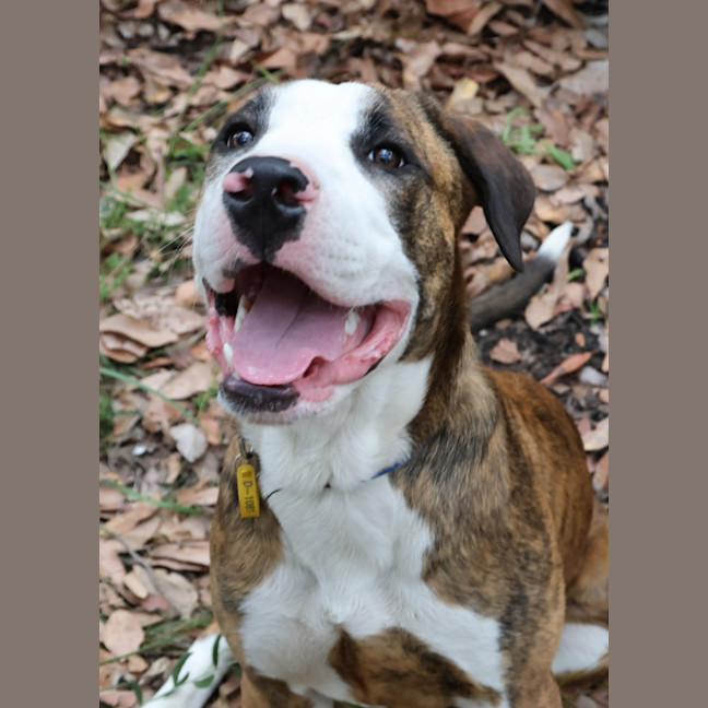 Photo of Bingo