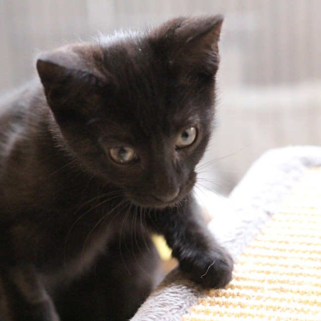 Photo of 🩷 Medina 🩷