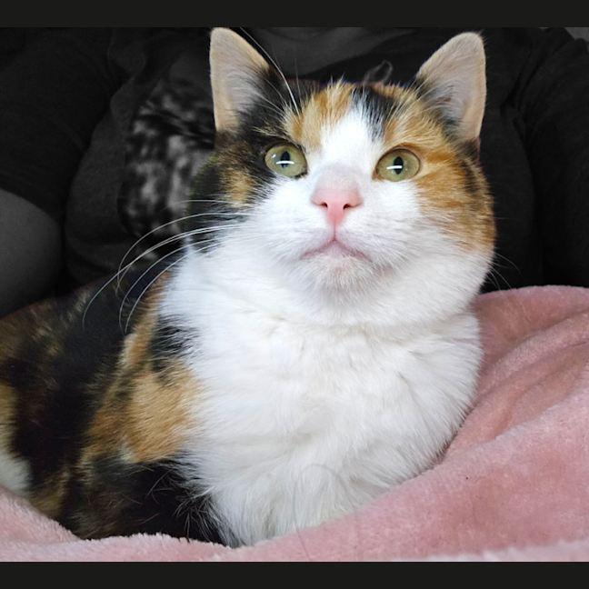 Photo of Winnie
