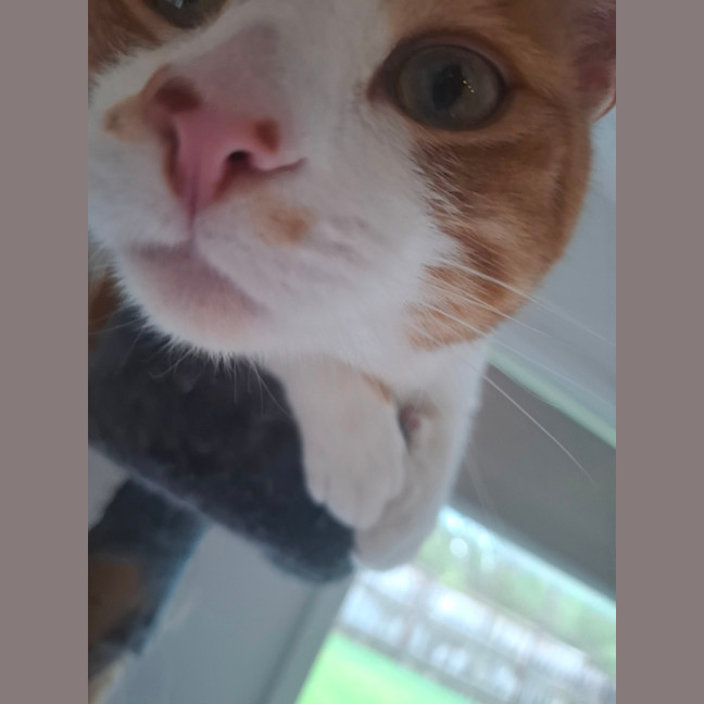 Photo of Hamish