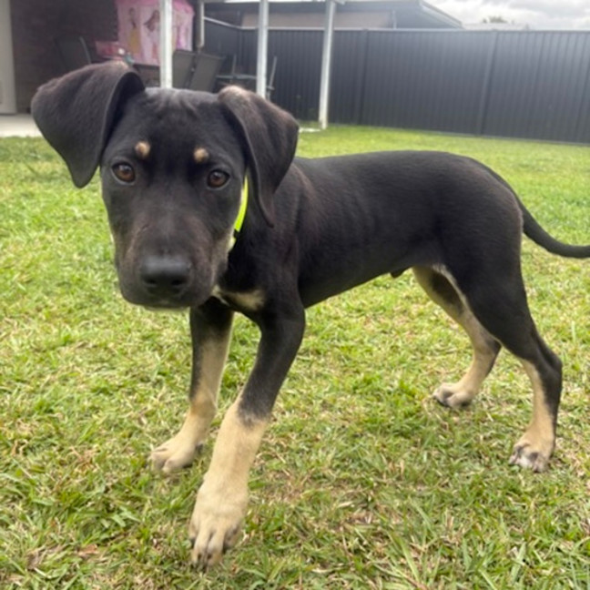Photo of Ares
