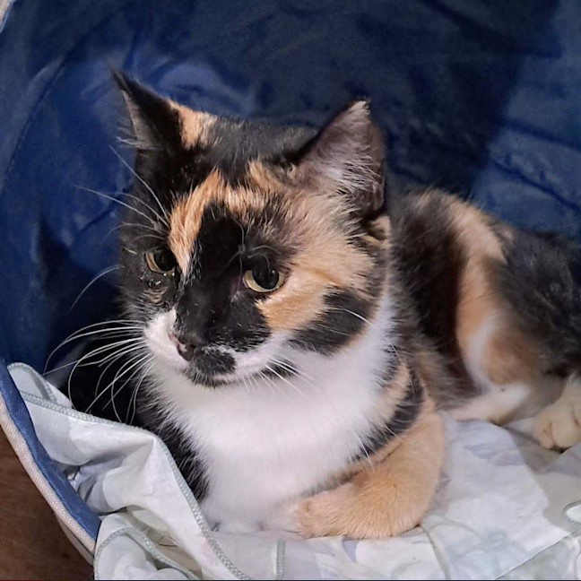 Photo of Agnes