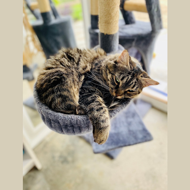 Photo of Bean