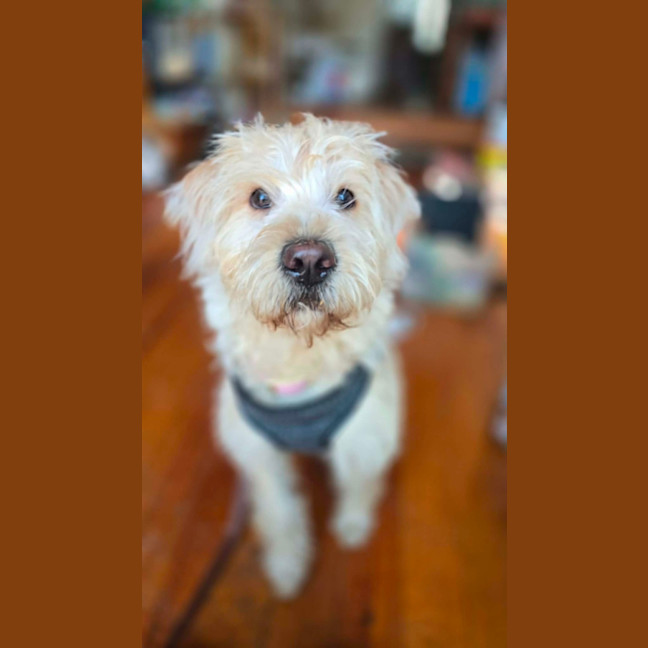 Photo of Freya