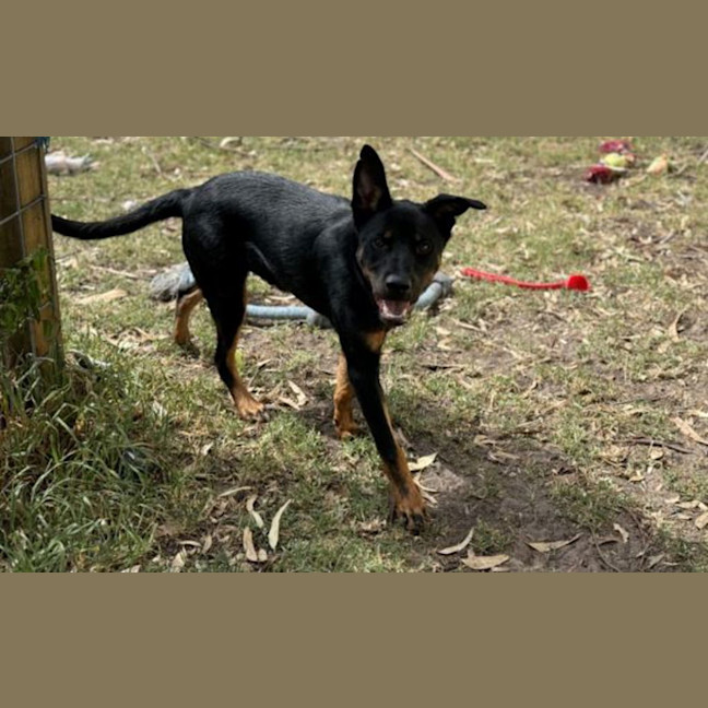 Photo of Rokit