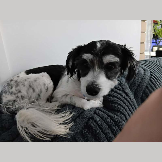 Photo of Benny