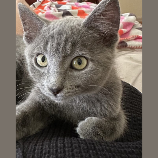 Photo of Louise
