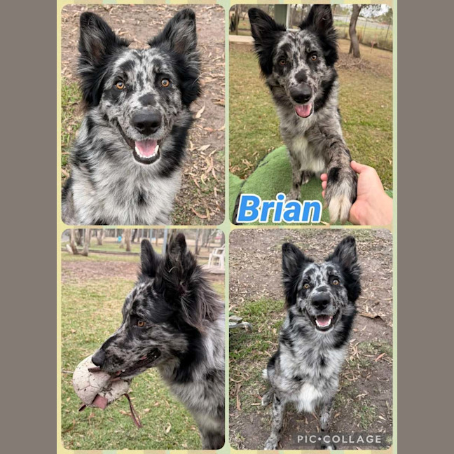 Photo of Brian 