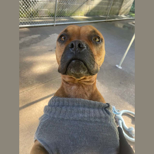 Photo of Daisy