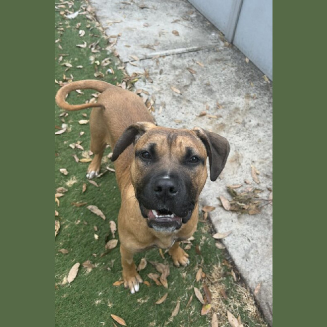 Photo of Skittles