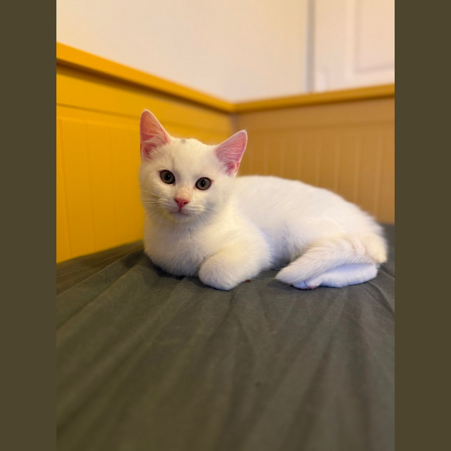 Photo of Evacuation Plan